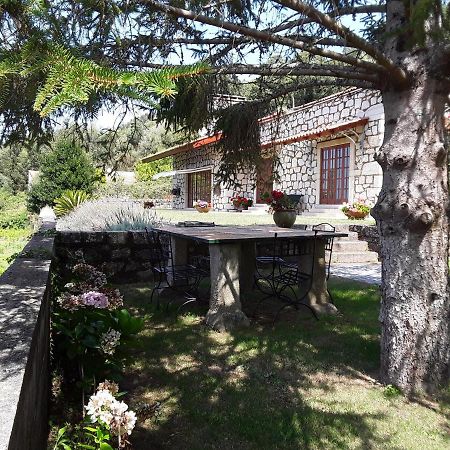 Casa De Crespins Casa De Campo Lda Cristelo  Kültér fotó